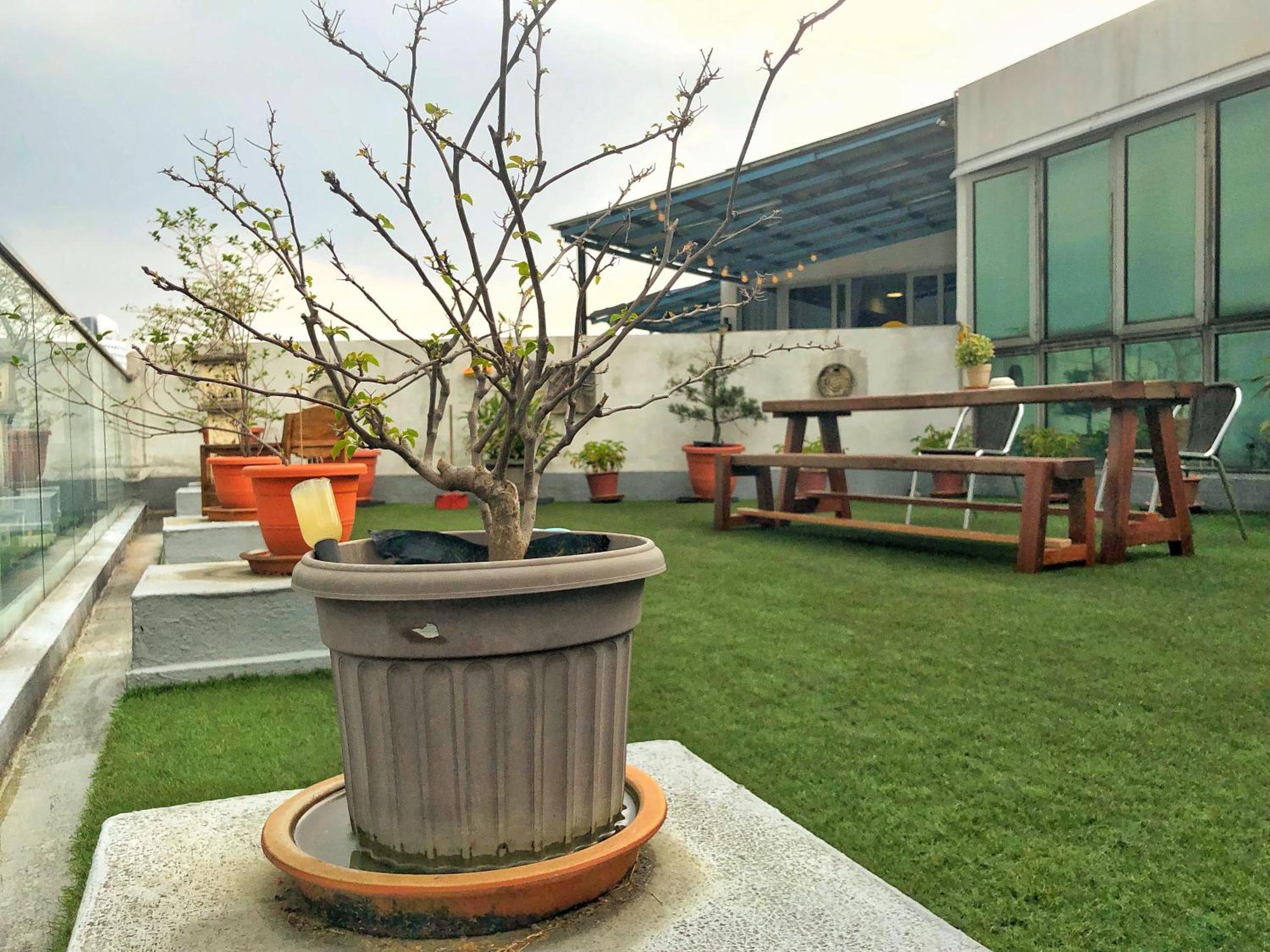 Penthouse On 34 - The Highest Unit And Best Views In Regalia & Private Rooftop Terrace — Photos 3